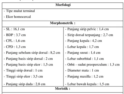 Tabel 1. Data morfologi dan morfometrik ikan lemuru (Sardinella lemuru Blk.)   di perairan pantai timur Pulau Siberut