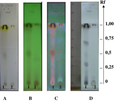 Gambar 1. Kromatogram hasil KLT ekstrak kloroform dan ekstrak metanol  daun Lobak (A)  Visibel (Sinar tampak) (B) dengan deteksi UV 254 ,  (C) UV 366 , (D) Serium (IV) sulfat