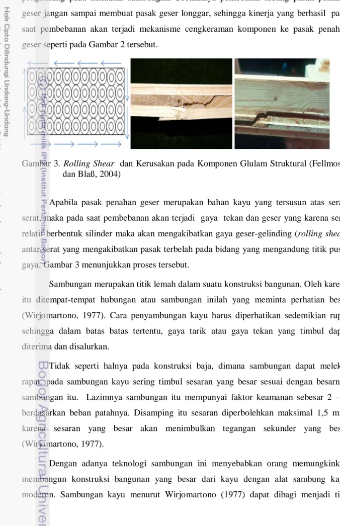 Gambar 3. Rolling Shear  dan Kerusakan pada Komponen Glulam Struktural (Fellmoser  dan Blaß, 2004) 