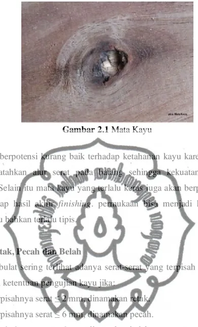 Gambar 2.1 Mata Kayu 
