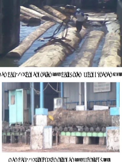 Gambar 21. Pengangkatan Log dari Kolam Menggunakan Hoist 