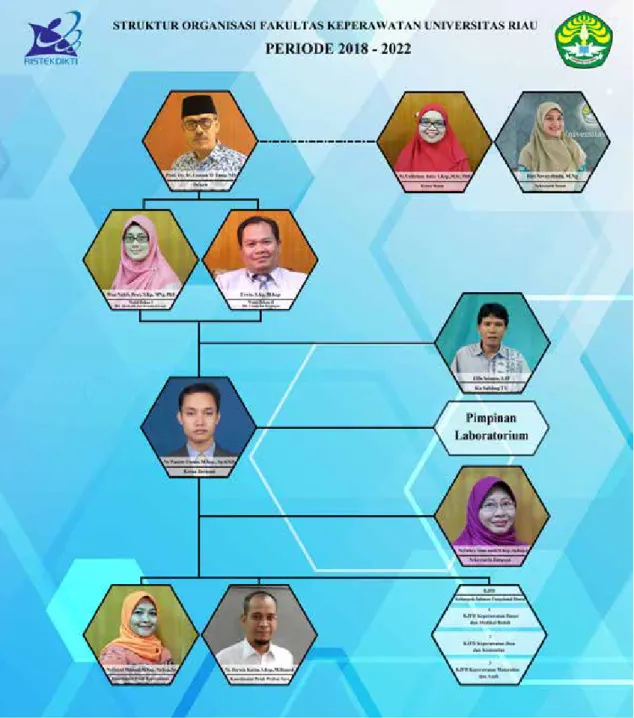 Gambar 2.1 Struktur Organisasi Fakultas Keperawatan Universitas Riau