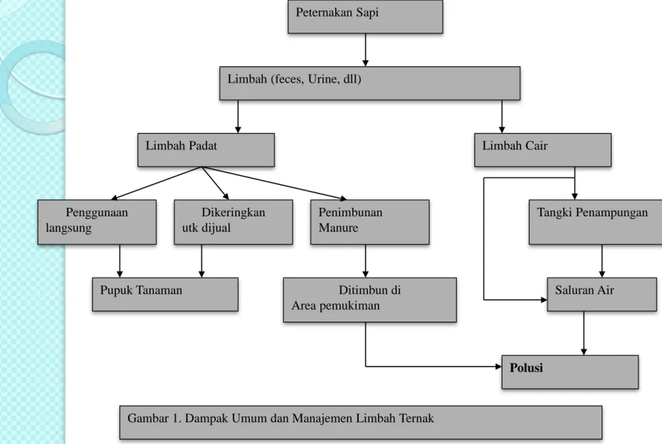 Gambar 1. Dampak Umum dan Manajemen Limbah Ternak
