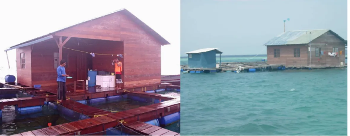 Gambar 8. Balai SF di Semak Daun 