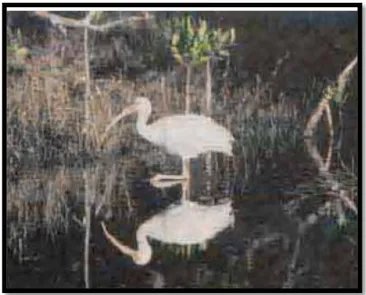 Gambar 3.5 Pemantulan dari  permukaan air yang halus  menghasilkan bayangan burung yang jelas