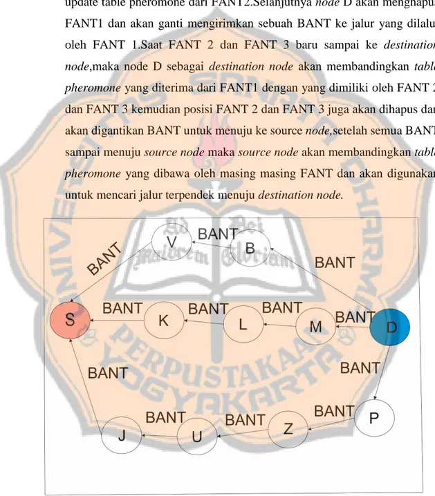 Gambar 2.5 Ketika Source node menemukan jalur terpendek menuju Destination  node 