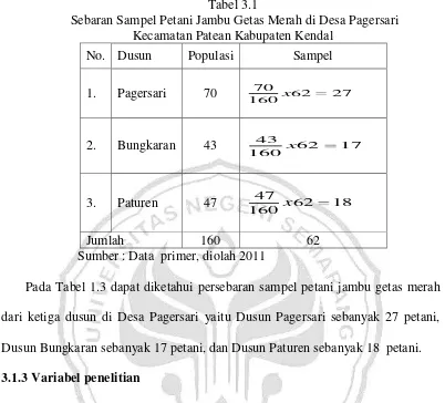 Tabel 3.1  Sebaran Sampel Petani Jambu Getas Merah di Desa Pagersari  