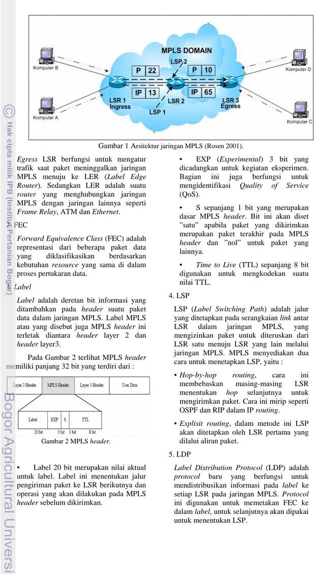 Gambar 1 A rsitektur jaringan MPLS (Rosen 2001).