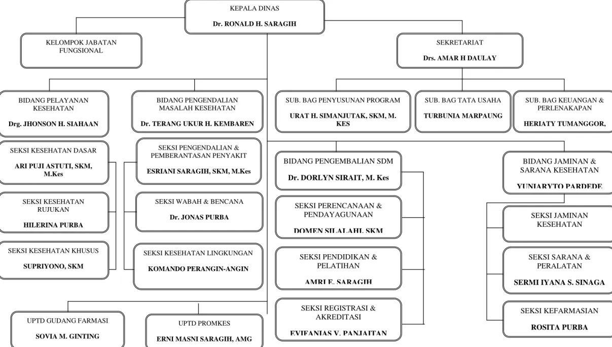 Gambar 2.1 Bagan Struktur Organisasi Dinas Kesehatan Kota Pematangsiantar 