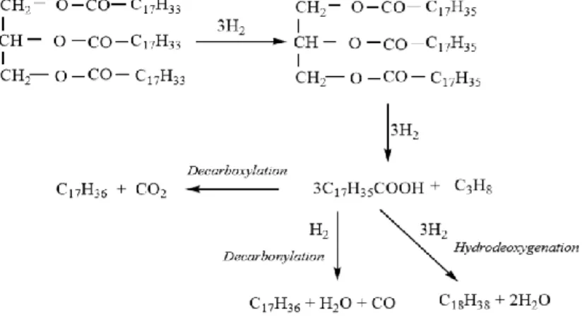 Gambar 1. 2 Mekanisme Reaksi Hydrotreating pada asam oleat (Sotelo, 2012) 
