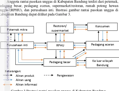 Gambar 3 Ilustrasi rantai pasokan unggas di Kabupaten Bandung 