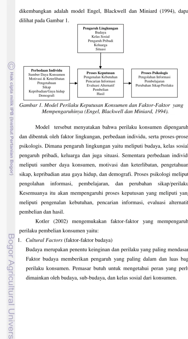 Gambar 1. Model Perilaku Keputusan Konsumen dan Faktor-Faktor  yang  Mempengaruhinya (Engel, Blackwell dan Miniard, 1994)
