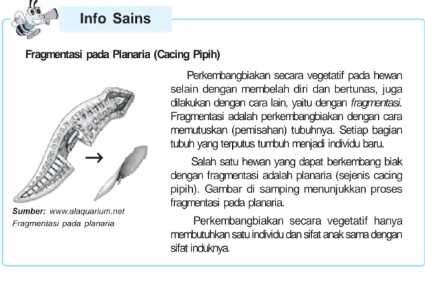 Gambar 2.10  Cara-cara hewan berkembang biak