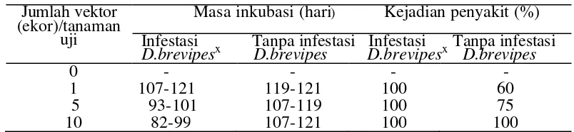 Tabel 2 Masa  inkubasi dan tingkat keberhasilan penularan PMWaV pada tanaman nanas dengan vektor D