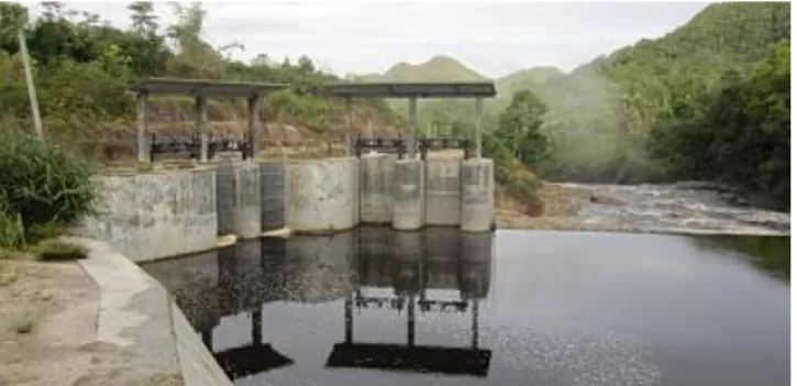 Gambar 3. Bendungan (weir) dan intake (Laymand, 1998) 