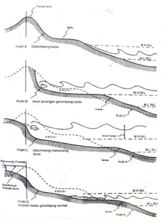 Gambar 2.3 Proses pembentukan pantai (Triatmodjo, 1999) 