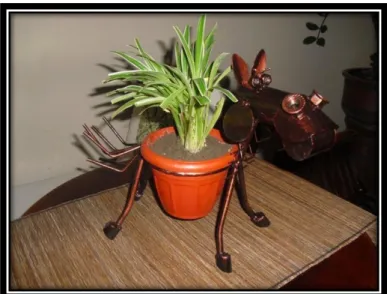 Gambar 17: Tempat Pot  