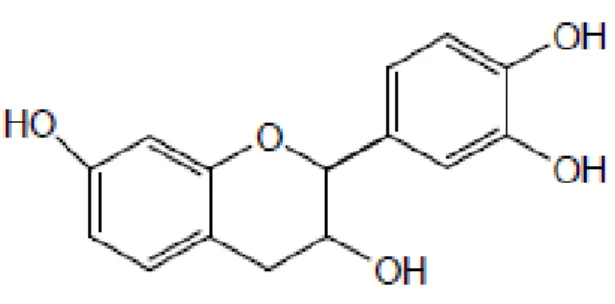 Gambar 3. Struktur molekul tannin (Mukhlisoh, 2010) 