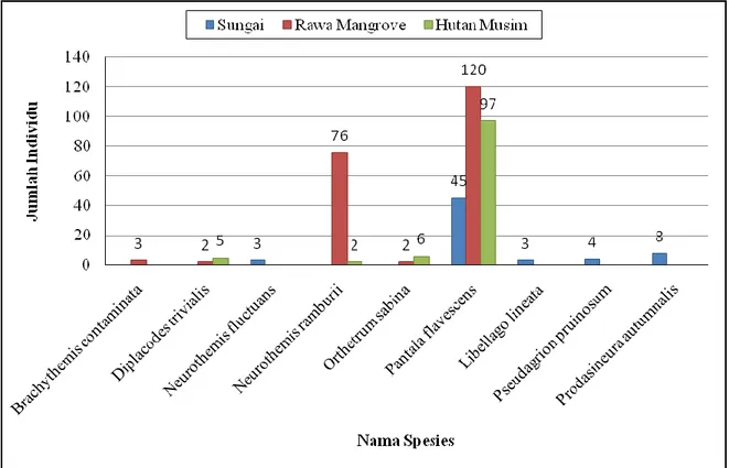 Gambar 2. Diagram jumlah individu anggota Ordo Odonata di blok hutan Resort Teluk Terima 