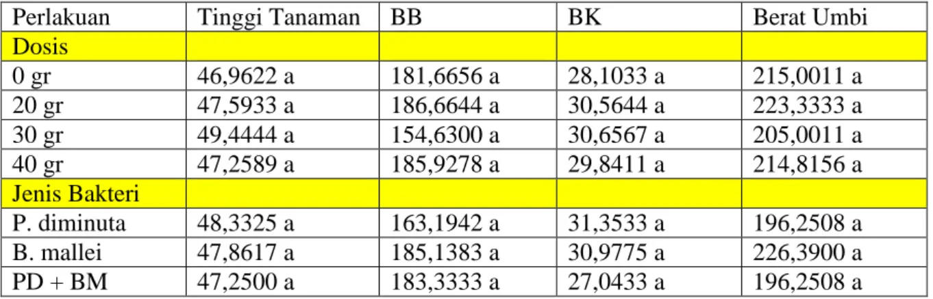Tabel  1.2  Pengaruh  dosis  dan  jenis  bakteri  terhadap  tinggi  tanaman,  berat  basah  (BB)  dan  berat kering (BK) tanaman ketang, serta Berat Umbi kentang pada saat 70 HST 