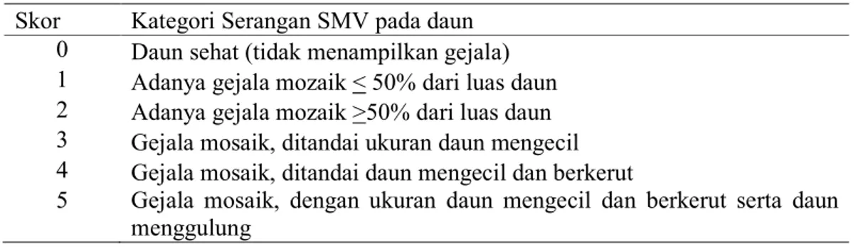 Tabel 2. Penilaian skor daun tanaman sakit berdasarkan gejala mosaik yang disebabkan  oleh soybean mosaic virus (smv) pada tanaman kedelai (Prayogo, 2012)  Skor  Kategori Serangan SMV pada daun 