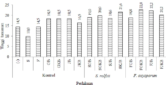 Gambar 5. Tinggi kecambah cabai setelah perlakuan isolat bakteri Bacillus sp. BK17 dalam media pembawa yang berbeda