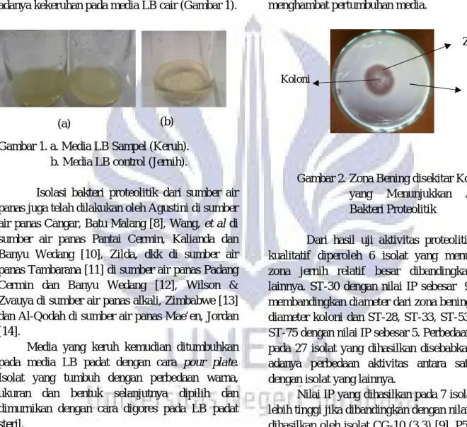 Gambar 1. a. Media LB Sampel (Keruh). 