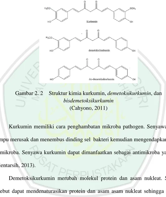 Gambar 2. 2  Struktur kimia kurkumin, demetoksikurkumin, dan  bisdemetoksikurkumin  
