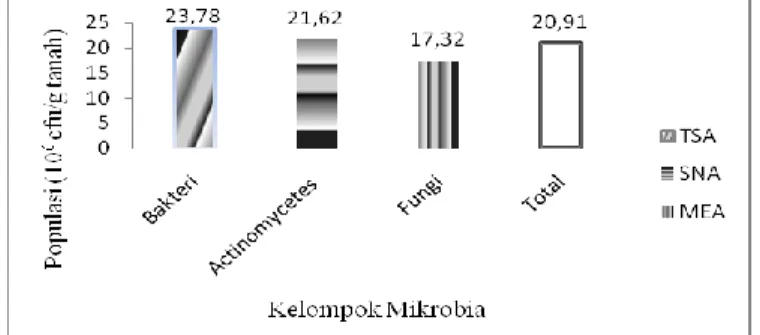 Gambar  1.  Populasi  kelompok  mikrobia  berdasarkan  jenis media.  