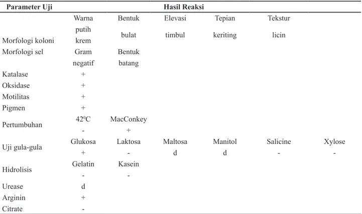 Tabel 1   Karakter morfologi dan biokimia isolat bakteri BH2 