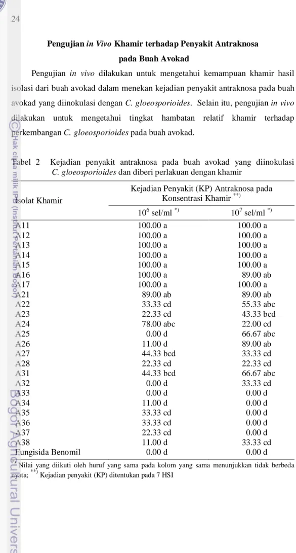 Tabel  2    Kejadian  penyakit  antraknosa  pada  buah  avokad  yang  diinokulasi             C