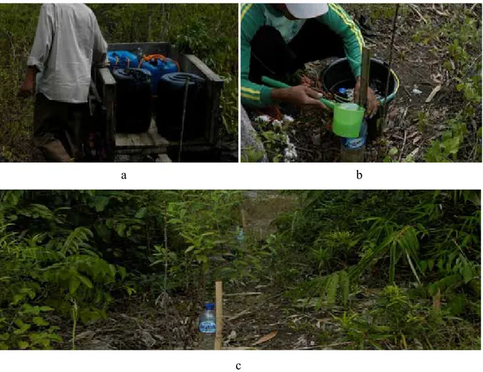 Gambar 3.  Kegiatan pemeliharaan tanaman di lapangan. Pengangkutan air (a);  