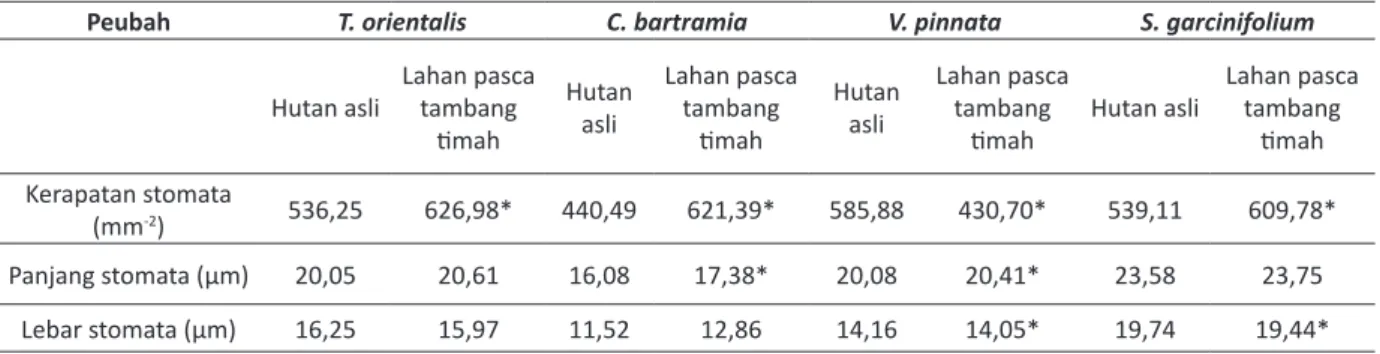 Tabel 1 menunjukkan perbandingan secara  kuantitatif karakter anatomi V. pinnata di  lahan pascapenambangan timah