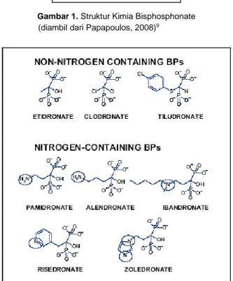 Gambar 1. Struktur Kimia Bisphosphonate     (diambil dari Papapoulos, 2008) 9
