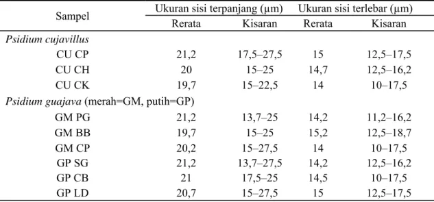 Tabel 3. Ukuran sel epidermis permukaan atas daun P. cujavillus dan P. guajava berkisar antara 10 hingga 18,7 (Tabel 3)