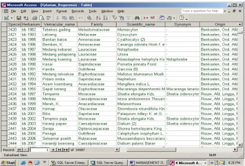 Gambar 3. Tabel koleksi contoh kayu dibuat dalam file format Access 