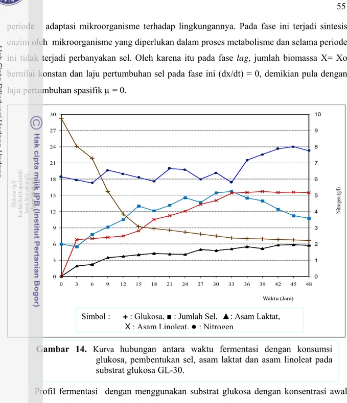 Gambar 14.  Kurva  hubungan antara waktu fermentasi dengan konsumsi  glukosa, pembentukan sel, asam laktat dan asam linoleat pada  substrat glukosa GL-30