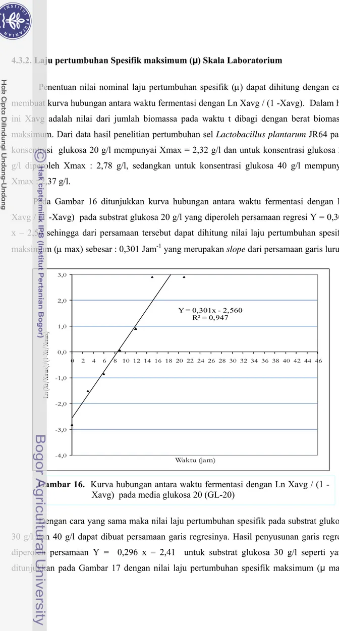 Gambar 16.  Kurva hubungan antara waktu fermentasi dengan Ln Xavg / (1 - -Xavg)  pada media glukosa 20 (GL-20) 