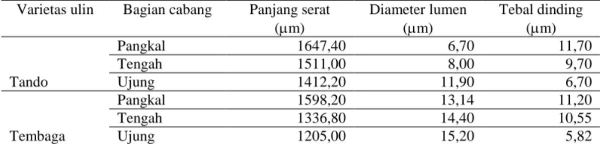 Tabel 1. Nilai rerata dimensi serat (µm) cabang ulin varietas tando dan varietas tembaga umur 10 tahun  Varietas ulin  Bagian cabang  Panjang serat  