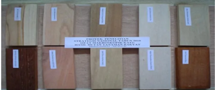 Gambar 1. Sepuluh jenis kayu hasil HTR yang dipakai  bahan penelitian. 