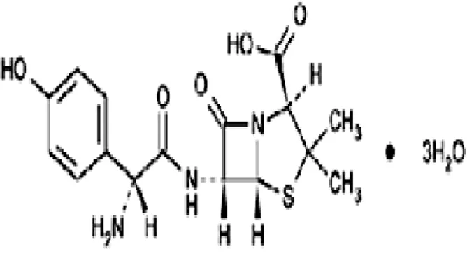 Gambar 1. Rumus Struktur Amoksisilin (USP 30 dan NF 25, 2007) 