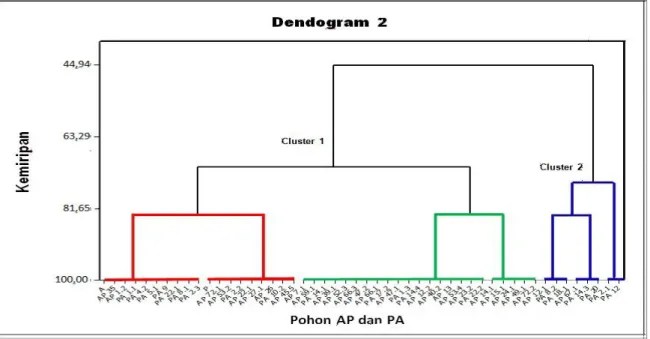 Gambar 2 Hasil Dendogram dari 50 pohon hasil persilangan Arumanis-143 x Podang Urang   (AP)  dan  kedua  tetuanya