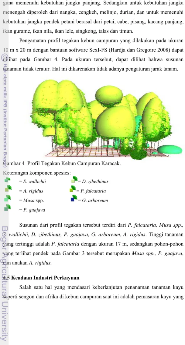 Gambar 4  Profil Tegakan Kebun Campuran Karacak. 