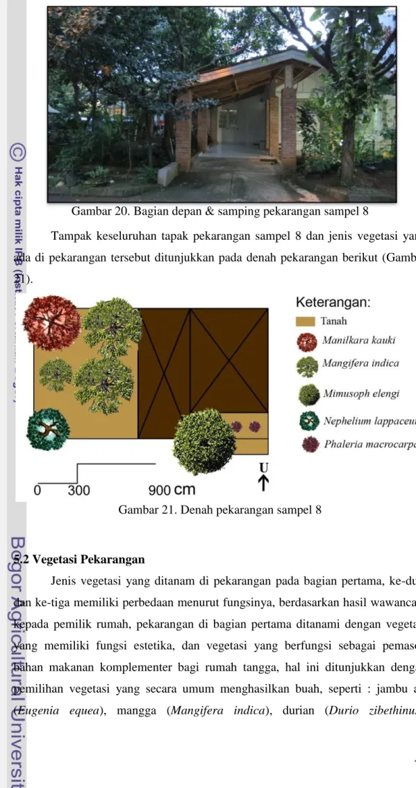 Gambar 21. Denah pekarangan sampel 8 