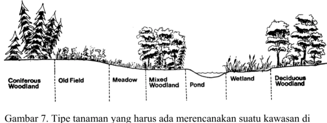 Gambar 7. Tipe tanaman yang harus ada merencanakan suatu kawasan di  perkotaan menjadi perlindungan habitat liar (Leedy, 1978) 