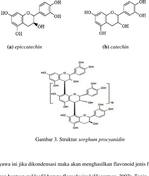 Gambar 3. Struktur sorghum procyanidin 