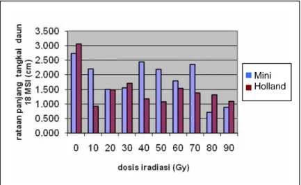 Gambar 8.   Grafik Pengaruh Dosis Iradiasi Sinar Gamma dan Kultivar  Anthurium terhadap Peubah Panjang Tangkai Daun pada  18 MSI 