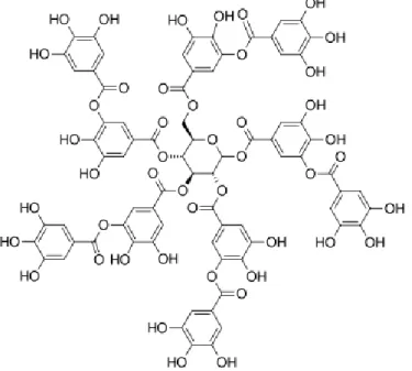 Gambar 5. Struktur asam tanat (Costadinnova et al., 2012) 