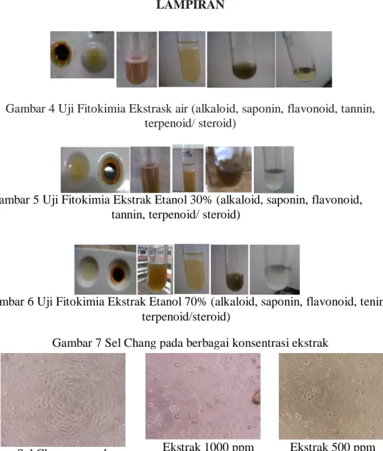 Gambar 7 Sel Chang pada berbagai konsentrasi ekstrak  Gambar 5 Uji Fitokimia Ekstrak Etanol 30% (alkaloid, saponin, flavonoid, 