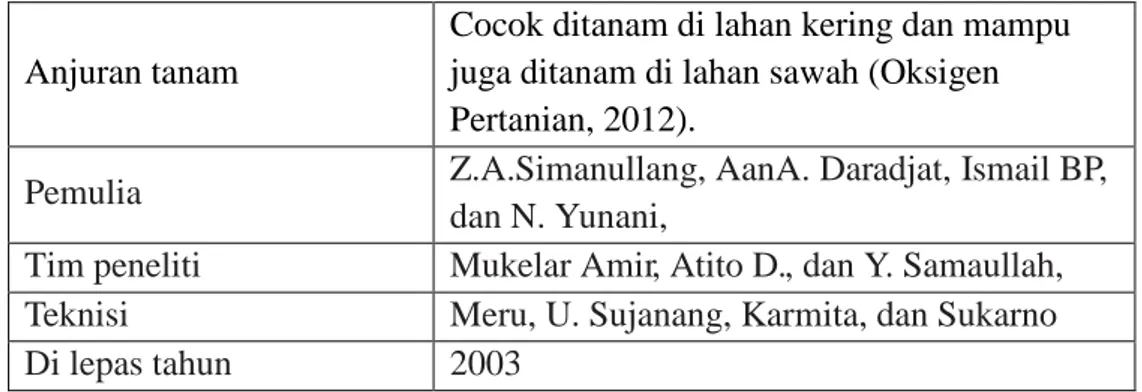 Gambar 2. Pola perkecambahan biji padi ( Waris, 2012 ) 